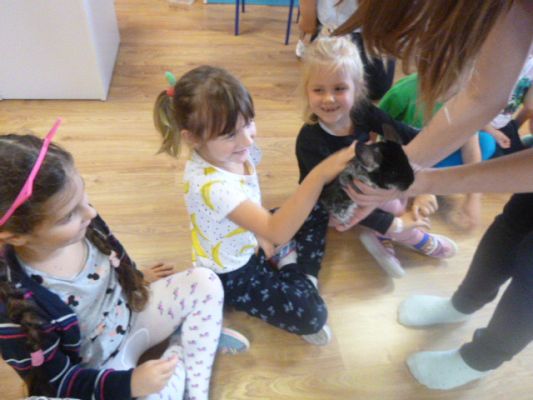 Grafika #0: Nasza puchata przyjaciółka szynszyla cz. IV