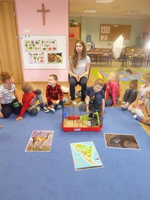 Grafika #4: Nasza puchata przyjaciółka szynszyla cz. IV