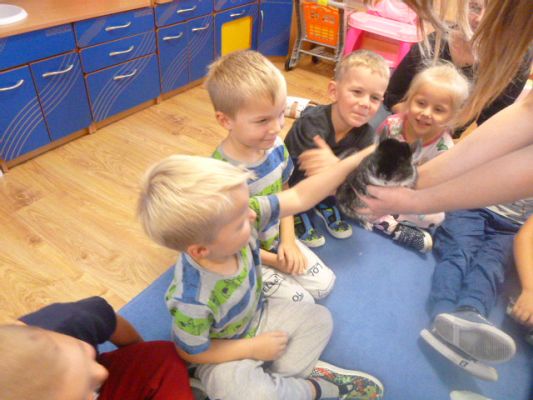 Grafika #0: Nasza puchata przyjaciółka szynszyla cz. III