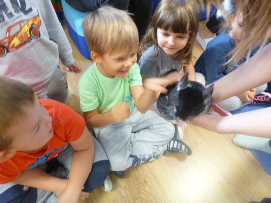 Grafika #4: Nasza puchata przyjaciółka szynszyla cz. III