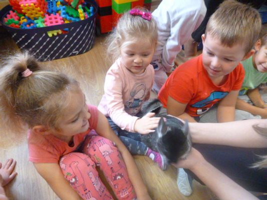 Grafika #5: Nasza puchata przyjaciółka szynszyla cz. III