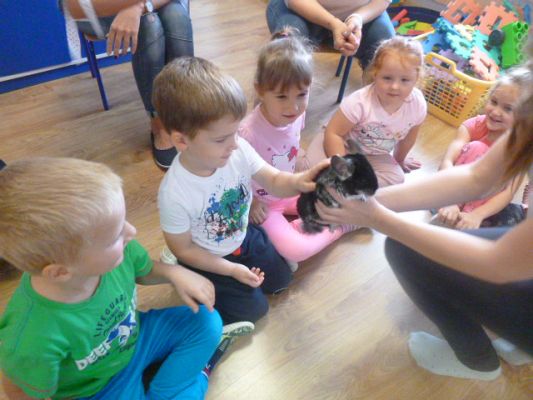 Grafika #6: Nasza puchata przyjaciółka szynszyla cz. III