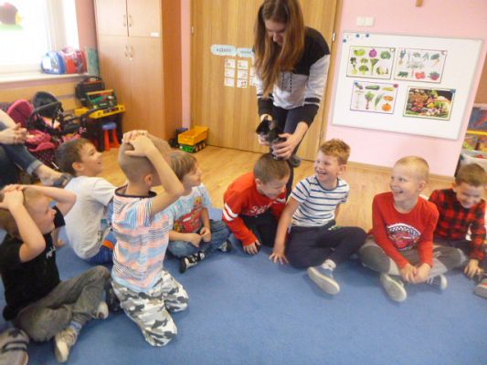 Grafika #4: Nasza puchata przyjaciółka szynszyla cz. II