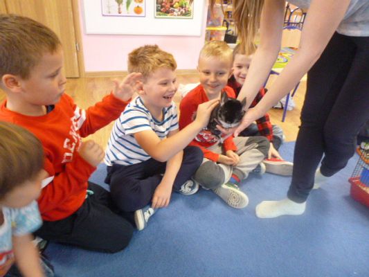 Grafika #5: Nasza puchata przyjaciółka szynszyla cz. II