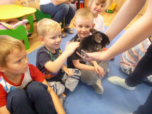 Grafika #7: Nasza puchata przyjaciółka szynszyla cz. II