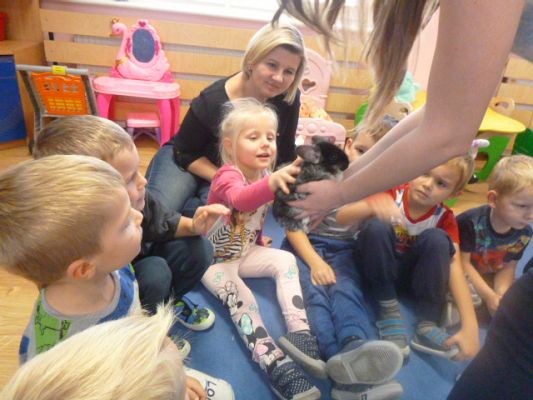 Grafika #8: Nasza puchata przyjaciółka szynszyla cz. II