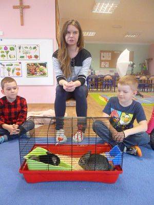 Grafika #5: Nasza puchata przyjaciółka szynszyla cz. I