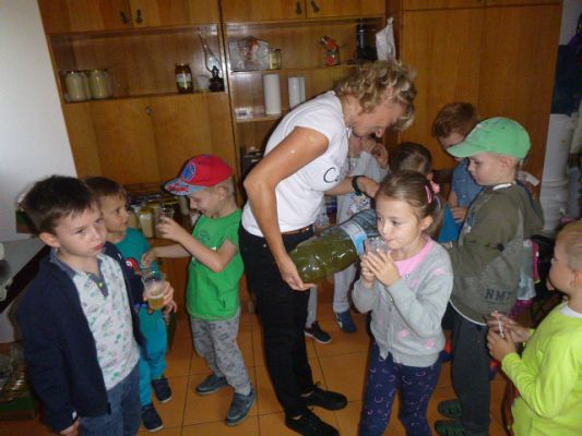 Grafika #0: Przedszkolaki w pasiece cz.V