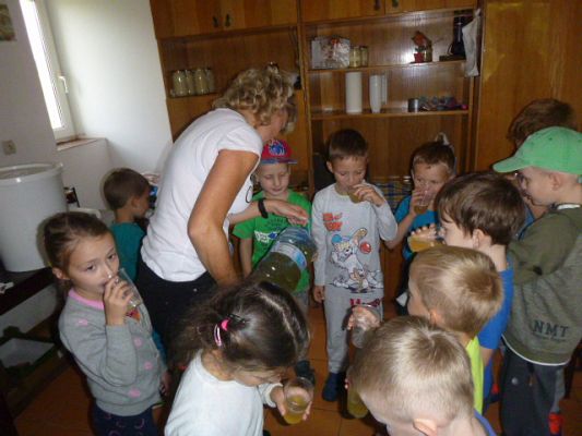 Grafika #2: Przedszkolaki w pasiece cz.V