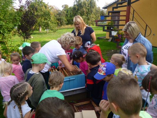 Grafika #5: Przedszkolaki w pasiece cz.IV