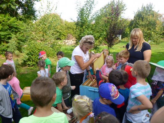 Grafika #6: Przedszkolaki w pasiece cz.IV