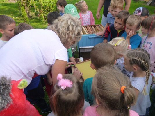 Grafika #7: Przedszkolaki w pasiece cz.IV