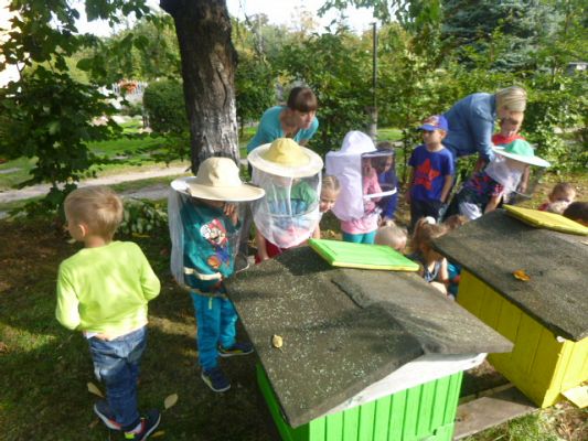 Grafika #0: Przedszkolaki w pasiece cz.III