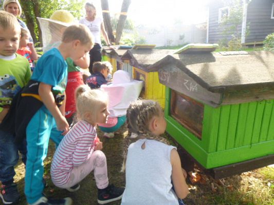 Grafika #1: Przedszkolaki w pasiece cz.III