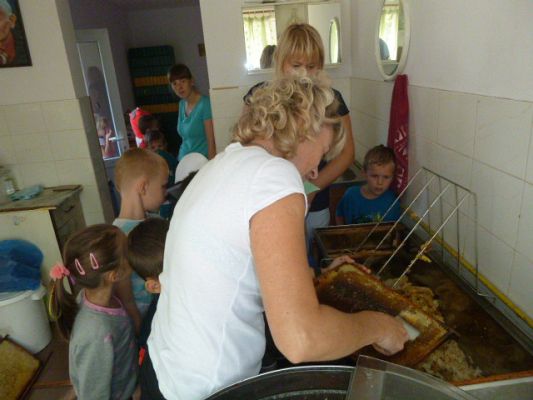 Grafika #4: Przedszkolaki w pasiece cz.III