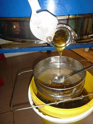 Grafika #8: Przedszkolaki w pasiece cz.III