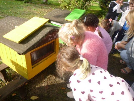 Grafika #0: Przedszkolaki w pasiece cz.II