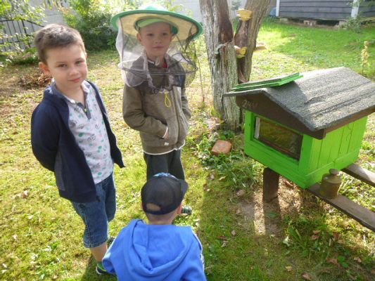 Grafika #1: Przedszkolaki w pasiece cz.II