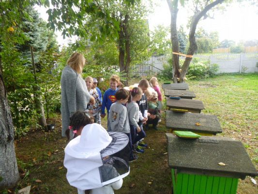 Grafika #3: Przedszkolaki w pasiece cz.II