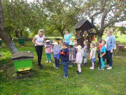 Grafika #7: Przedszkolaki w pasiece cz.II