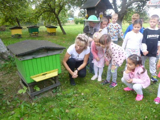 Grafika #5: Przedszkolaki w pasiece cz.I