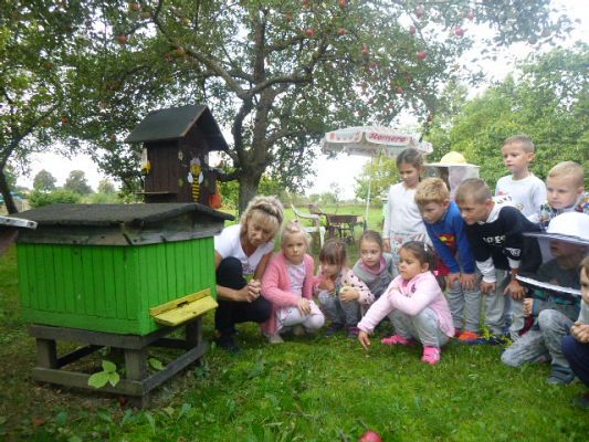 Grafika #7: Przedszkolaki w pasiece cz.I