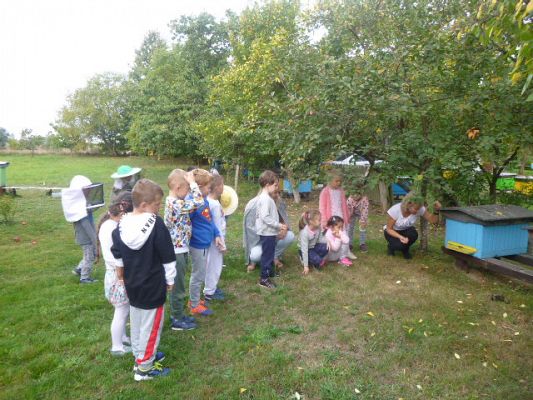 Grafika #8: Przedszkolaki w pasiece cz.I