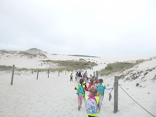 Grafika #6: Wycieczka do Rąbki-Wydmy ruchome cz. IV