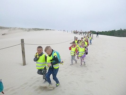 Grafika #3: Wycieczka do Rąbki-Wydmy ruchome cz. III