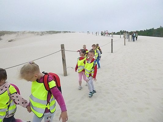 Grafika #4: Wycieczka do Rąbki-Wydmy ruchome cz. III