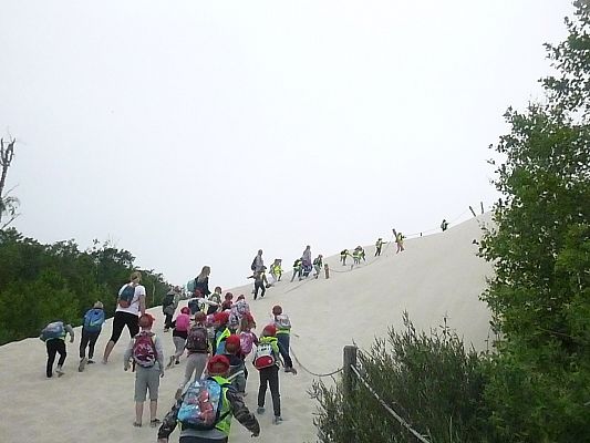 Grafika #4: Wycieczka do  Rąbki-Wydmy ruchome cz. II