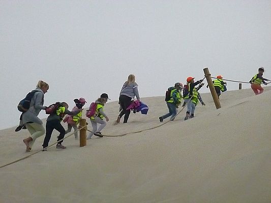 Grafika #5: Wycieczka do  Rąbki-Wydmy ruchome cz. II