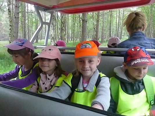 Grafika #3: Wycieczka do  Rąbki-Wydmy ruchome cz. I