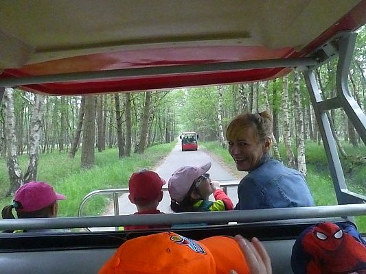 Grafika #4: Wycieczka do  Rąbki-Wydmy ruchome cz. I