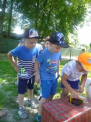 Grafika #3: Dzień Dziecka cz. IV