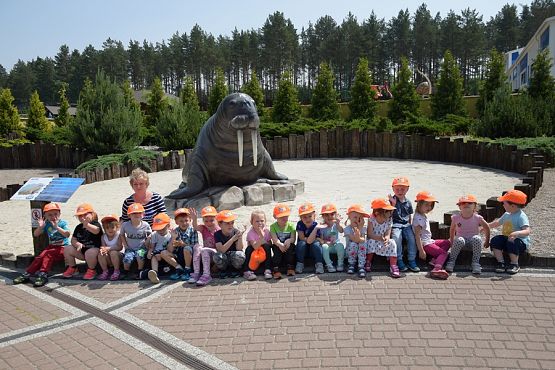 Grafika #3: Wycieczka do Sea Park -Fokarium Motylki cz. VII