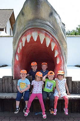 Grafika #4: Wycieczka do Sea Park -Fokarium Motylki cz. VII