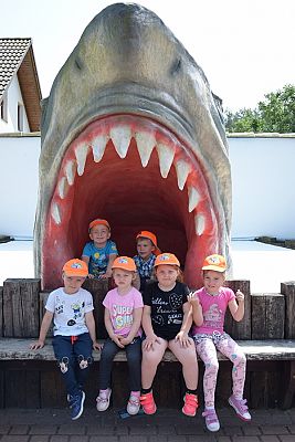 Grafika #5: Wycieczka do Sea Park -Fokarium Motylki cz. VII