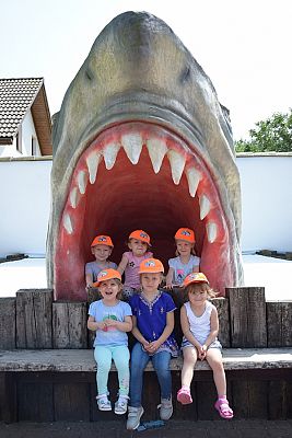 Grafika #6: Wycieczka do Sea Park -Fokarium Motylki cz. VII