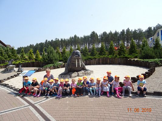 Grafika #1: Wycieczka do Sea Park -Fokarium Motylki cz. VI