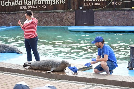 Grafika #4: Wycieczka do Sea Park -Fokarium Motylki cz. VI