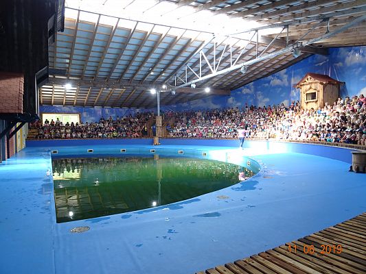 Grafika #2: Wycieczka do Sea Park -Fokarium Motylki cz. V