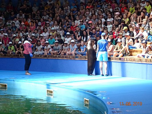 Grafika #3: Wycieczka do Sea Park -Fokarium Motylki cz. V