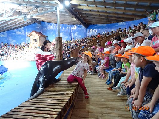 Grafika #4: Wycieczka do Sea Park -Fokarium Motylki cz. V