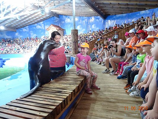 Grafika #5: Wycieczka do Sea Park -Fokarium Motylki cz. V