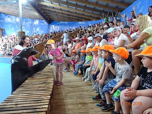 Grafika #6: Wycieczka do Sea Park -Fokarium Motylki cz. V