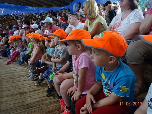 Grafika #7: Wycieczka do Sea Park -Fokarium Motylki cz. V