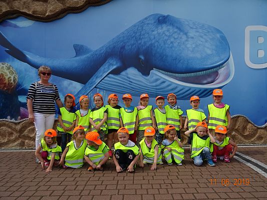 Grafika #4: Wycieczka do Sea Park -Fokarium Motylki cz. II