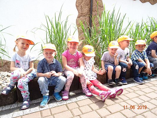 Grafika #5: Wycieczka do Sea Park -Fokarium Motylki cz. II