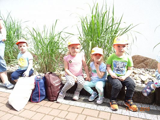 Grafika #6: Wycieczka do Sea Park -Fokarium Motylki cz. II